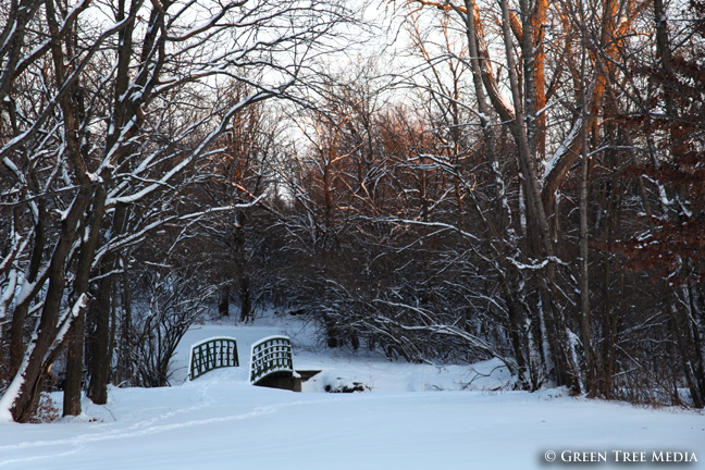 Winter Wonderland