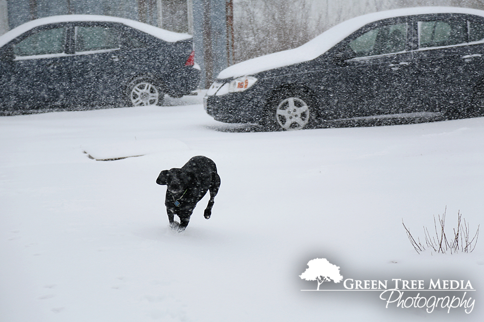 Lucy & Kit in Snow 4