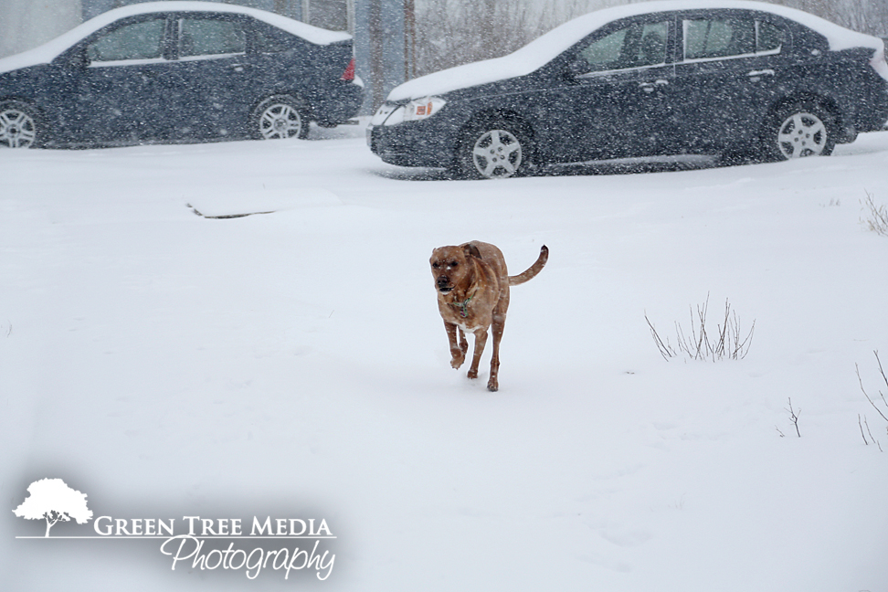 Lucy & Kit in Snow 5