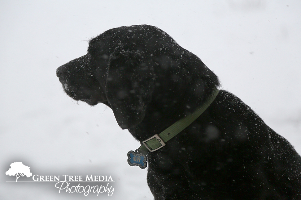 Lucy & Kit in Snow 6