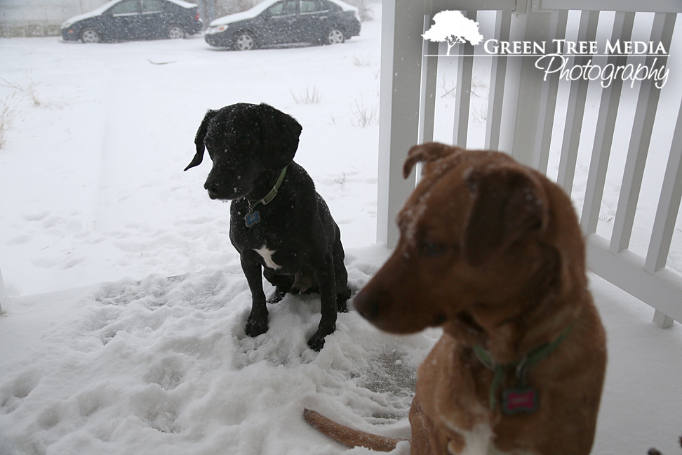 Lucy & Kit in Snow 7