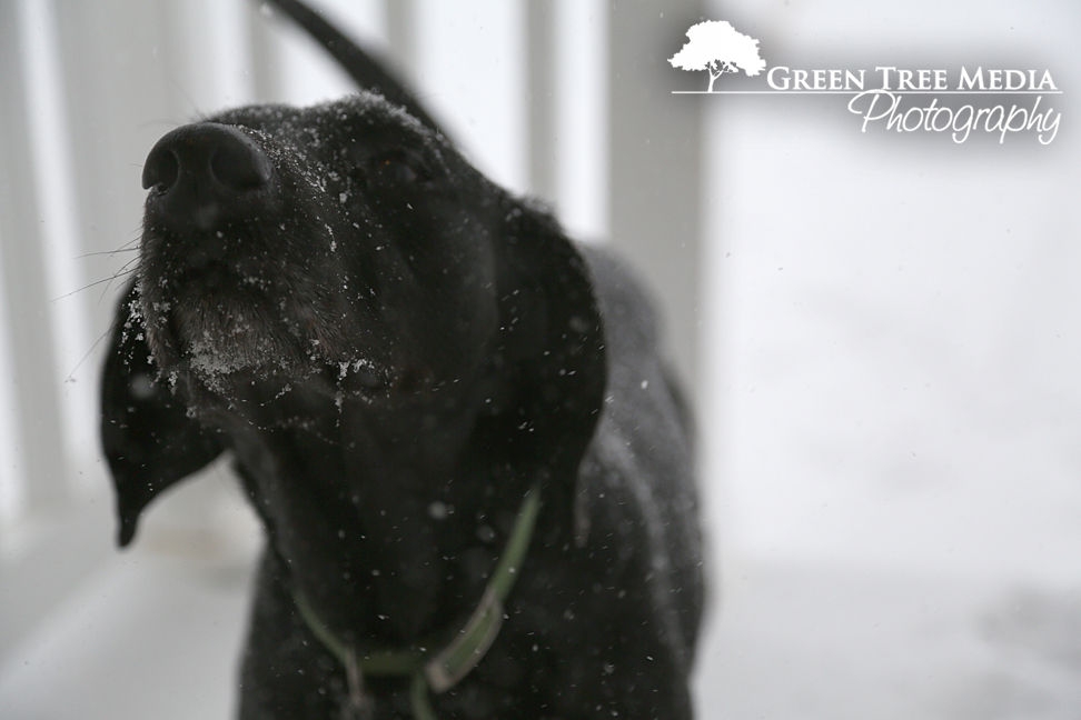 Lucy & Kit in Snow 9