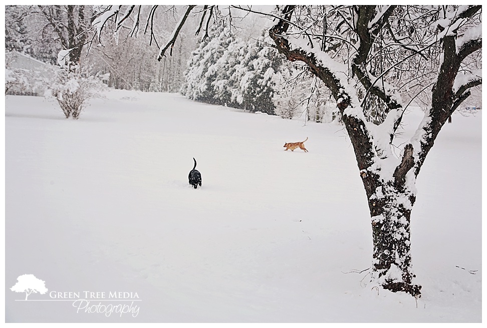 Snow Day 6