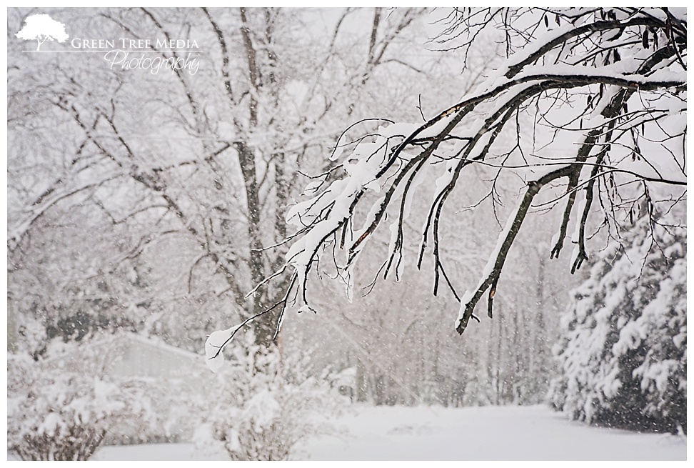 Snow Day 10