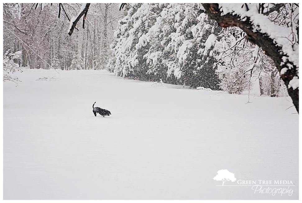 Snow Day 11