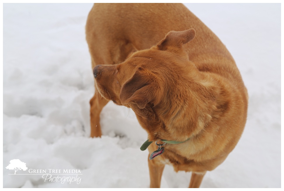 Snow Day 23