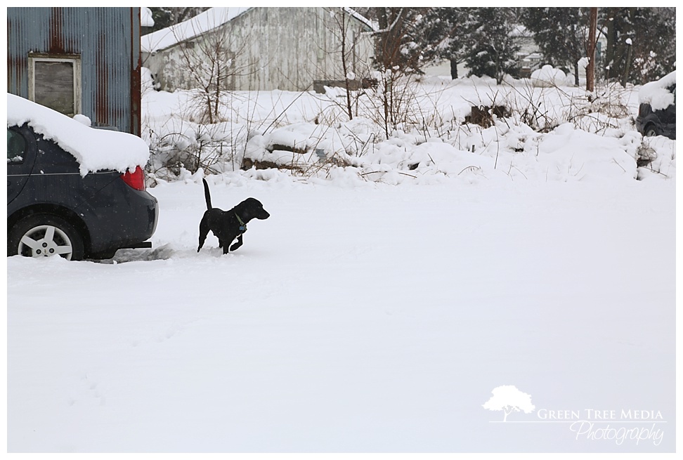 Snow Day 30