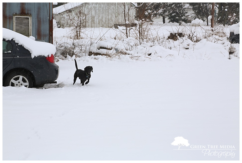 Snow Day 31