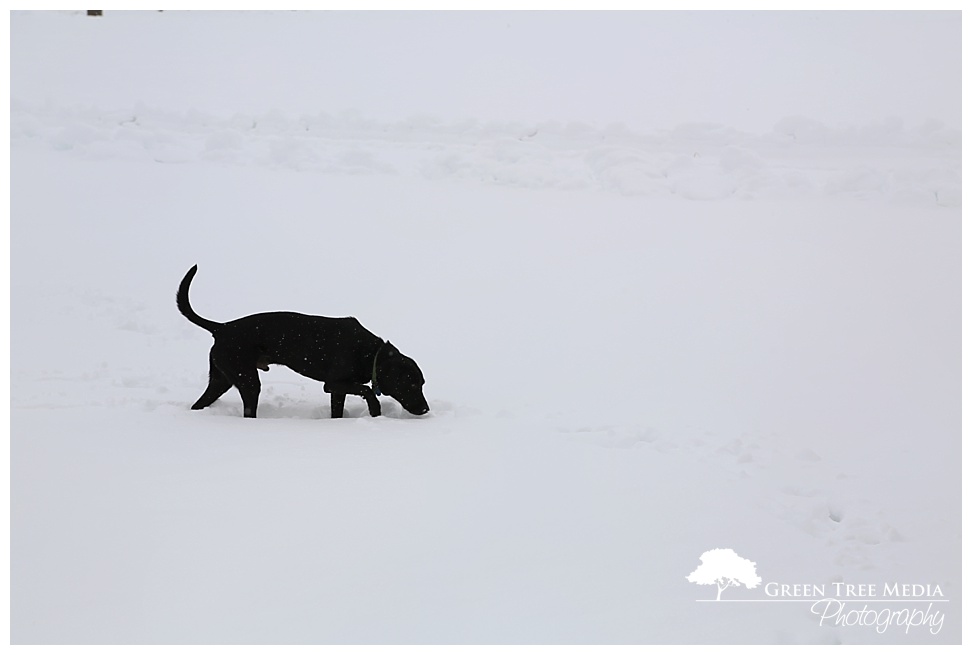 Snow Day 32