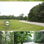 Locations: Wilborn Creek in Sullivan, IL