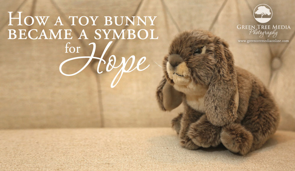 Toy Bunny Hope