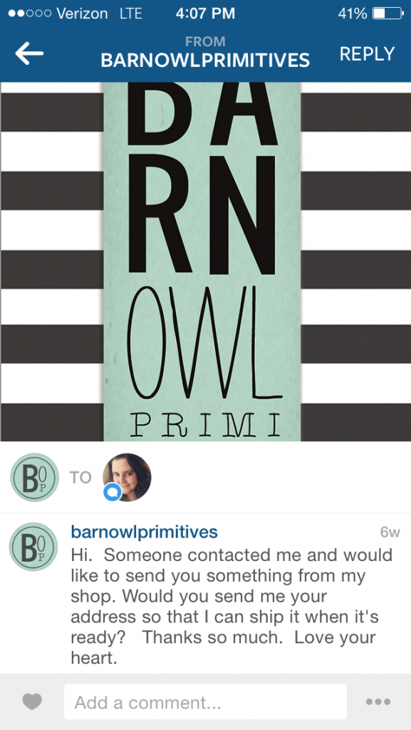 Barn Owl Primitives