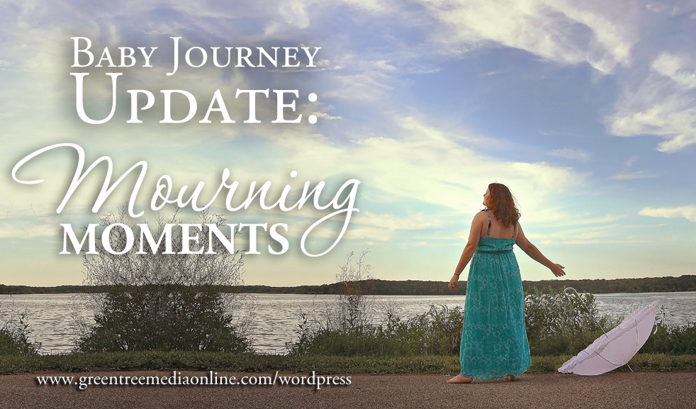 Baby Journey: Mourning Moments