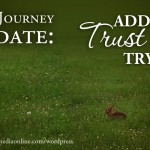 Baby Journey Update: Adding Trust to the ‘Trying’