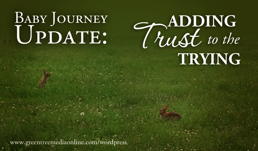 Baby Journey Update: Adding Trust To Trying