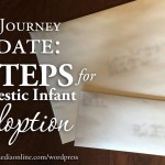 Baby Journey Update: The Steps for Domestic Infant Adoption