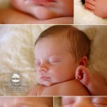 Margaux Bee Peters Newborn Photography