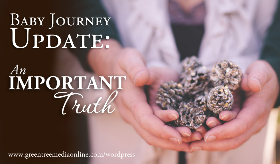 Baby Journey Update: An Important Truth