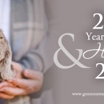 2015 Year in Review & Hopes for 2016