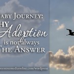 Baby Journey: Why Adoption Is Not Always the Answer