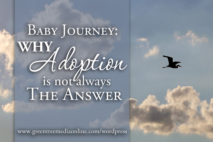 Why Adoption is not always the Answer