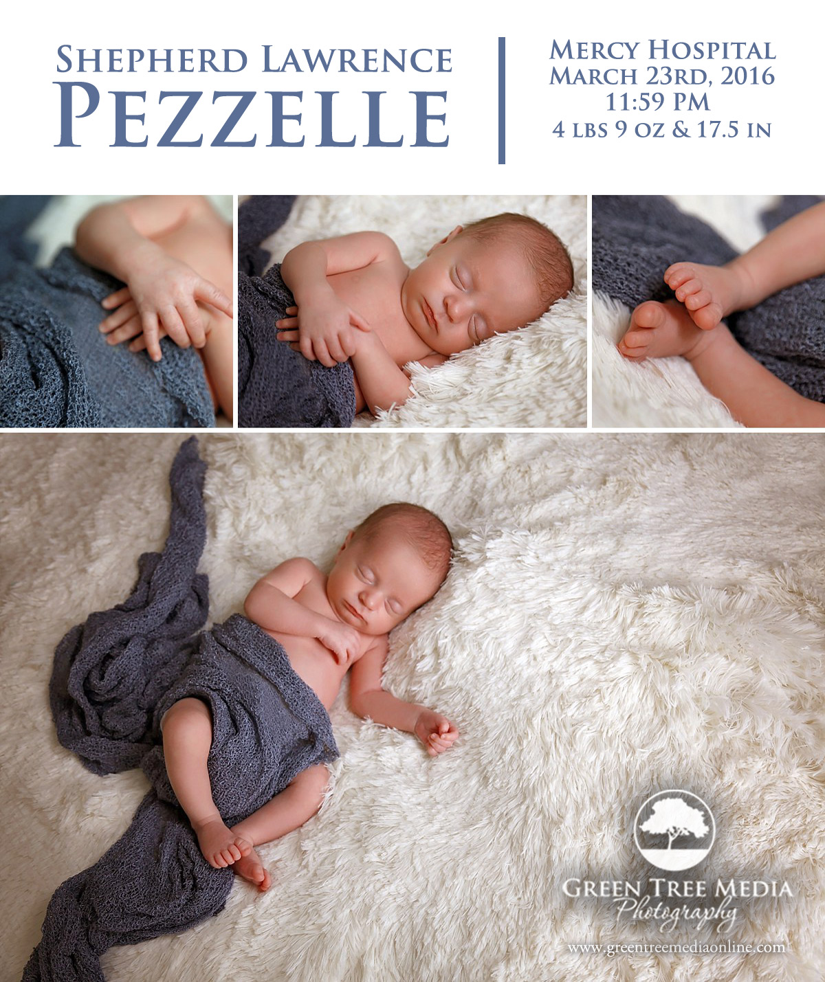 Shepherd Pezzelle Newborn