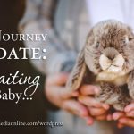 Baby Journey: Waiting for Baby…