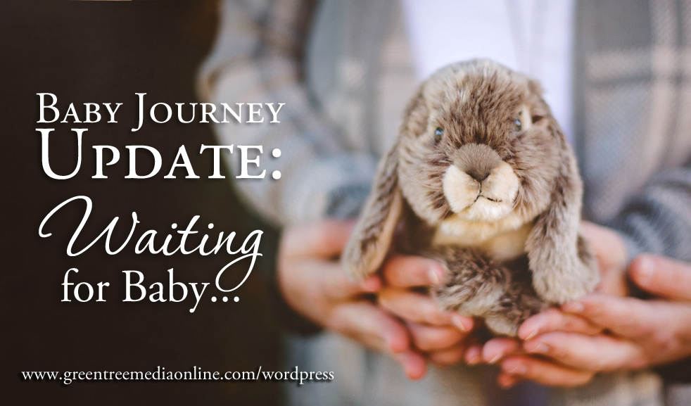 Adoption Journey Waiting For Baby