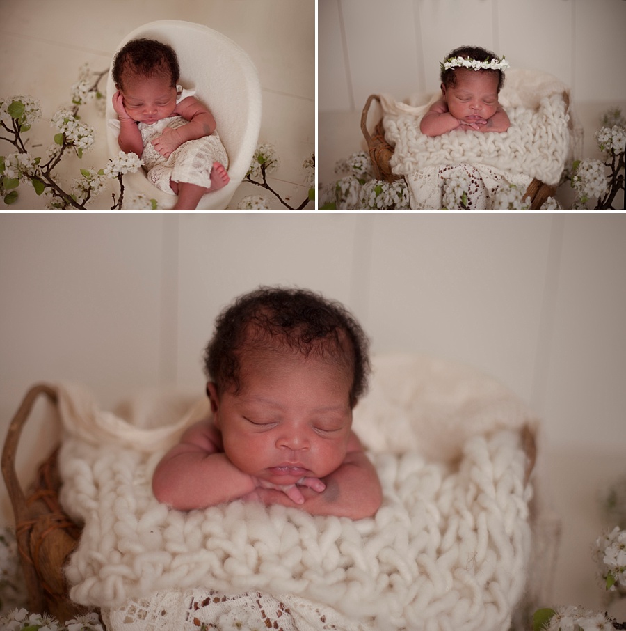 Marlee's Newborn Portraits