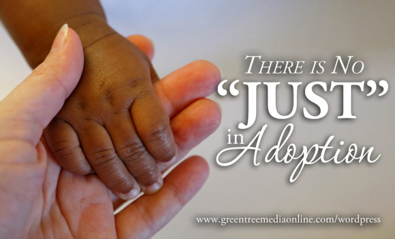 There Is No “Just” in Adoption – Green Tree Media Photography