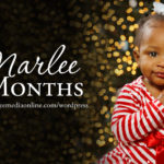 Marlee’s Eight Month Session | Sullivan, IL
