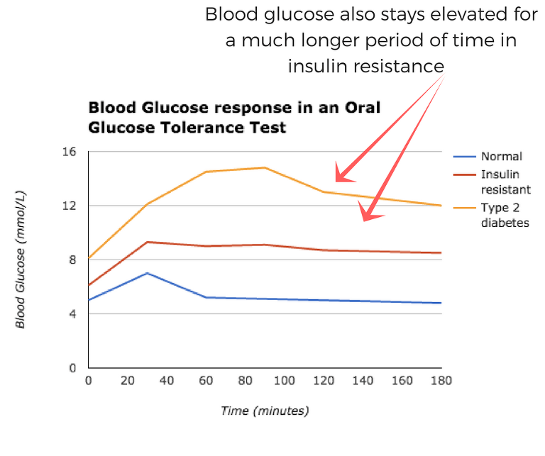 PCOS, Insulin Resistance, and Food - Green Tree Media Photography ...