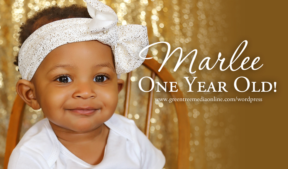 Marlee's First Birthday Portraits