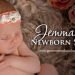 Jemma Rose Newborn Session | Springfield, IL