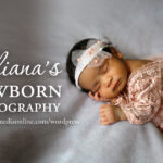 Elliana’s Newborn Photography | Decatur, IL